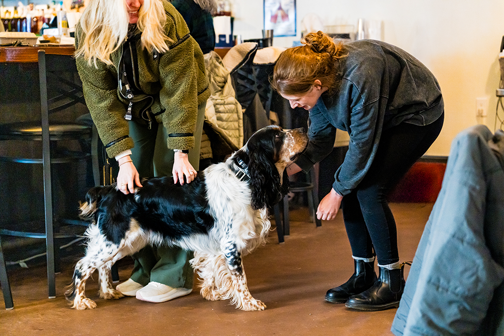 4 Dogs Brew Pub Picture of a Dog and woman